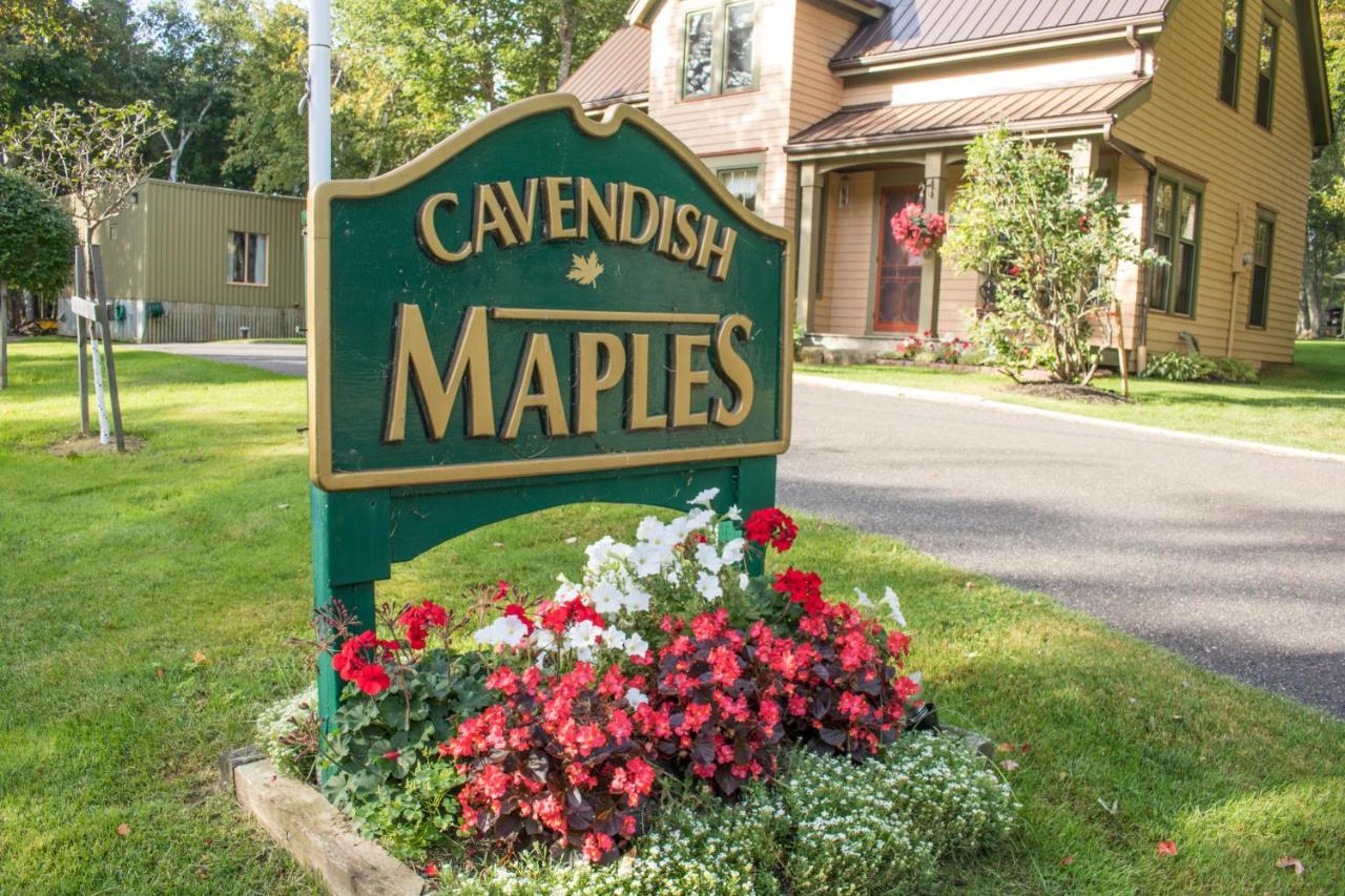 Cavendish Maples Cottages Exteriér fotografie